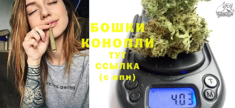 Бошки марихуана THC 21%  Вилюйск 